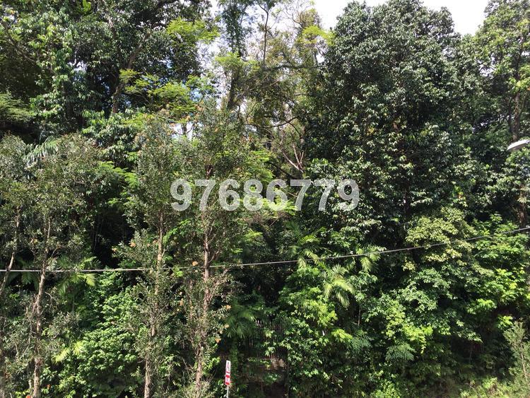 Hijauan (D9), Apartment #66284342